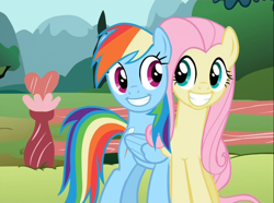 Size: 1030x768 | Tagged: safe, artist:ponyweed, edit, edited screencap, screencap, character:fluttershy, character:rainbow dash, ship:flutterdash, episode:may the best pet win, g4, my little pony: friendship is magic, awesome face, conjoined, female, fusion, grin, gritted teeth, lesbian, ponychan, shipping, smiling, solo, wat, what has science done, wide eyes