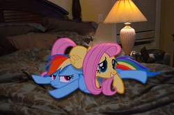 Size: 2464x1632 | Tagged: safe, artist:oppositebros, character:fluttershy, character:rainbow dash, bed, irl, lamp, photo, ponies in real life, pony pile, window