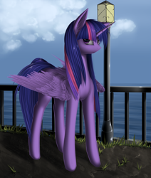 Size: 2497x2942 | Tagged: dead source, safe, artist:f13proxima, character:twilight sparkle, character:twilight sparkle (alicorn), species:alicorn, species:pony, ear fluff, female, mare, solo