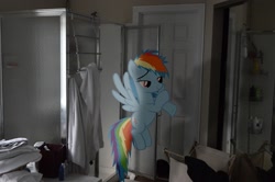 Size: 2464x1632 | Tagged: safe, artist:oppositebros, character:rainbow dash, species:pony, bathroom, irl, photo, ponies in real life, shadow, shower, vector