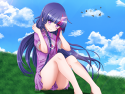 Size: 3200x2400 | Tagged: safe, artist:srtagiuu, character:twilight sparkle, species:human, anime, braid, clothing, colored pupils, cute, dress, female, grass, horned humanization, humanized, long hair, looking at you, signature, sitting, smiling, solo, sundress, wingding eyes