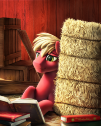 Size: 1200x1500 | Tagged: safe, artist:chryseum, character:big mcintosh, species:earth pony, species:pony, book, hay, hay bale, male, reading, solo, stallion