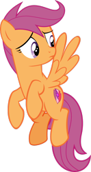 Size: 1024x1931 | Tagged: safe, artist:davidpinskton117, character:scootaloo, species:pony, female, older, simple background, solo, transparent background, vector