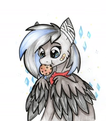 Size: 1872x2135 | Tagged: safe, artist:zira, oc, oc only, species:pegasus, species:pony, black skin, blue eye, clothing, cookie, cute, female, food, pony oc, two colour hair