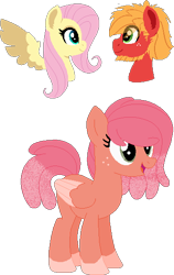 Size: 360x571 | Tagged: safe, artist:klawiee, character:big mcintosh, character:fluttershy, parent:big macintosh, parent:fluttershy, parents:fluttermac, species:earth pony, species:pegasus, species:pony, ship:fluttermac, female, male, offspring, shipping, simple background, socks (coat marking), straight, transparent background