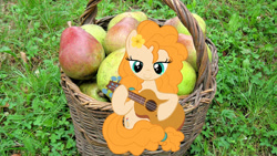 Size: 1920x1080 | Tagged: safe, artist:creativa-artly01, character:pear butter, episode:the perfect pear, g4, my little pony: friendship is magic, basket, food, guitar, irl, pear, photo, solo