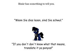 Size: 800x600 | Tagged: safe, artist:smartmars603, oc, oc only, oc:binärcode, species:pony, comic sans, german, simple background, solo, text, white background