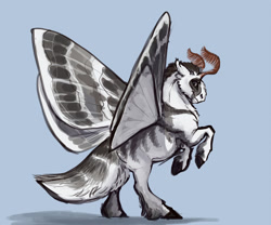 Size: 1024x851 | Tagged: safe, artist:eerinless, oc, oc only, oc:todd, species:mothpony, species:pony, blue background, coat markings, floppy ears, looking at you, male, original species, rearing, simple background, solo, spread wings, stallion, unshorn fetlocks, wings