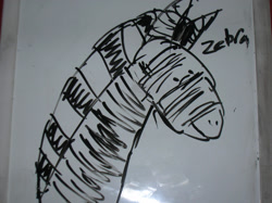 Size: 2288x1712 | Tagged: safe, artist:spqr21, oc, oc only, species:zebra, smiling, solo, stylistic suck, text, traditional art, whiteboard, zebra oc