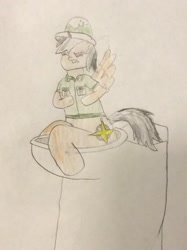 Size: 772x1034 | Tagged: safe, artist:snipiper, character:daring do, species:pegasus, species:pony, but why, curse, fart, female, poop, pooping, toilet, traditional art