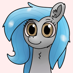 Size: 1015x1009 | Tagged: safe, artist:barpy, oc, oc only, oc:sweet elis, species:earth pony, species:pony, bust, chest fluff, colored, cute, female, looking at you, portrait, simple background, solo