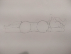 Size: 4000x3000 | Tagged: safe, artist:barpy, oc, oc only, species:earth pony, species:pony, g4, happy, lying on the ground, prone, resting, simple background, sketch, solo, traditional art