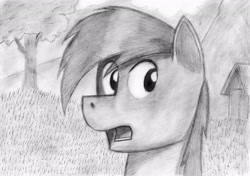 Size: 4658x3284 | Tagged: safe, artist:zeronitroman, oc, oc only, species:pony, g4, black and white, bust, grass, grayscale, high res, house, looking sideways, male, monochrome, mountain, open mouth, pencil drawing, solo, stallion, surprised, traditional art, tree