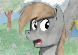 Size: 4617x3264 | Tagged: safe, artist:zeronitroman, oc, oc only, species:pony, g4, bust, grass, high res, house, looking sideways, male, mountain, open mouth, solo, stallion, surprised, tree