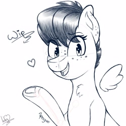 Size: 2500x2500 | Tagged: safe, artist:inkystylus12, oc, oc:apogee, species:pegasus, species:pony, g4, chest fluff, chibi wings, freckles, looking at you, open mouth, smiling, solo, teenager