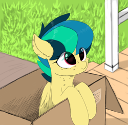 Size: 3500x3414 | Tagged: safe, artist:d.w.h.cn, oc, oc only, oc:apogee, species:pegasus, species:pony, g4, box, cheek fluff, cute, diageetes, ear fluff, eye clipping through hair, female, filly, freckles, gift from god, ocbetes, pony in a box, smiling, solo, transparent mane