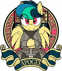 Size: 2165x2480 | Tagged: safe, artist:shinodage, oc, oc:apogee, species:pegasus, species:pony, g4, armor, cute, emblem, eye clipping through hair, female, filly, latin, looking at you, medieval, solo, sword, weapon