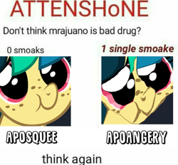 Size: 863x802 | Tagged: safe, artist:shinodage, oc, oc only, oc:apogee, species:pegasus, species:pony, g4, angery, angry, content-aware scale, cute, dank memes, drugs, marijuana, meme, mrajuano is bad drug, public service announcement, squee, stylistic suck