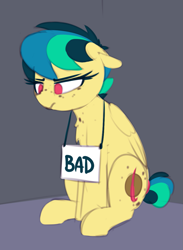 Size: 883x1208 | Tagged: safe, artist:shinodage, oc, oc only, oc:apogee, species:pegasus, species:pony, g4, bad pony, female, filly, freckles, pony shaming, sign, solo