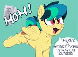 Size: 2048x1499 | Tagged: safe, artist:shinodage, edit, oc, oc:apogee, species:pegasus, species:pony, g4, adorkable, blink motherfucker, blue background, body freckles, bucking, butt freckles, cat, chest fluff, chest freckles, cute, dialogue, dork, ear freckles, edited edit, excited, exploitable meme, female, filly, freckles, meme, michael rapaport, mom! meme, ocbetes, open mouth, raised leg, shitposting, simple background, smiling, speech bubble, text, vulgar, wilfred, wilfred warrior