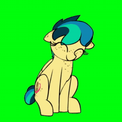 Size: 1080x1080 | Tagged: safe, artist:shinodage, edit, oc, oc only, oc:apogee, species:pegasus, species:pony, g4, animated, body freckles, chroma key, dancing, dancing apogee, ear freckles, eyes closed, female, filly, freckles, no sound, sitting, smiling, teenager, webm, youtube link