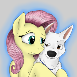 Size: 2048x2048 | Tagged: safe, artist:yakovlev-vad, character:fluttershy, species:dog, species:pegasus, species:pony, g4, bolt, crossover, cute, duo, hug
