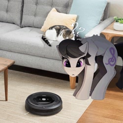 Size: 2098x2098 | Tagged: safe, artist:yakovlev-vad, edit, character:octavia melody, species:earth pony, species:pony, g4, behaving like a cat, cat, irl, photo, ponies in real life, question mark, roomba, solo, tavicat