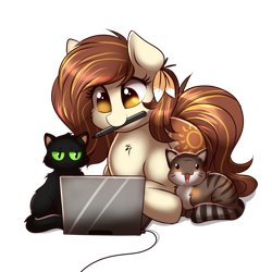 Size: 1000x1000 | Tagged: safe, artist:confetticakez, oc, oc only, oc:raven sun, species:earth pony, species:pony, g4, cat, computer, female, laptop computer, lying down, mare, pet, solo