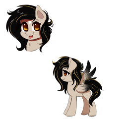 Size: 3000x3000 | Tagged: safe, artist:confetticakez, oc, oc only, species:pegasus, species:pony, g4, bust, female, mare, reference, simple background, sketch, solo, white background