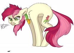 Size: 2048x1458 | Tagged: safe, artist:chiba_deer, character:roseluck, species:earth pony, species:pony, g4, acting like a cat, angry, collar, hissing, insect, solo