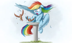 Size: 3000x1818 | Tagged: safe, artist:ncmares, character:rainbow dash, species:bird, species:pegasus, species:pony, g4, angry, behaving like a bird, birb, bird bath, chest fluff, feather, female, floppy ears, fluffy, frown, glare, gradient background, majestic as fuck, mare, nose wrinkle, open mouth, sitting, spread wings, underhoof, wide eyes, wings