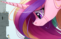 Size: 2324x1498 | Tagged: safe, artist:ncmares, character:princess cadance, character:princess flurry heart, character:shining armor, species:pony, g4, big-pon, giant pony, heart, jewelry, macro, mega cadance, regalia, royal guard, scared, zoomed in