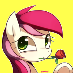 Size: 1800x1800 | Tagged: safe, artist:maren, character:roseluck, species:earth pony, species:pony, g4, bust, flower, flower in mouth, looking at you, mouth hold, rose, solo