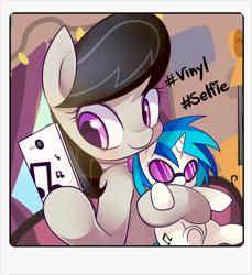 Size: 1280x1399 | Tagged: safe, artist:maren, character:dj pon-3, character:octavia melody, character:vinyl scratch, species:pony, ship:scratchtavia, g4, female, hashtag, lesbian, mare, plushie, shipping, solo