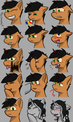 Size: 600x1000 | Tagged: safe, artist:skydreams, oc, oc:bullet storm, oc:charger, species:pony, species:unicorn, g4, angry, boop, claws, coffee, coffee mug, confused, drool, ear piercing, emoji, emotes, facehoof, feather, female, giggling, glare, lip bite, looking at you, male, mare, mug, one eye closed, piercing, question mark, rainbow, sleepy, smoke, stallion, steam, wink, yelling