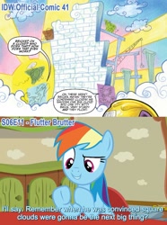 Size: 1342x1808 | Tagged: safe, artist:andypriceart, idw, screencap, character:rainbow dash, character:tank, species:pony, episode:flutter brutter, g4, my little pony: friendship is magic, plumb bob
