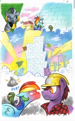 Size: 618x1000 | Tagged: safe, artist:andypriceart, idw, character:rainbow dash, character:tank, character:zecora, species:earth pony, species:pegasus, species:pony, species:zebra, angry, circling stars, construction, dreary, hard hat, hat, pain, plumb bob, tortoise