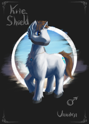 Size: 1000x1400 | Tagged: safe, artist:eqlipse, oc, oc:kite shield, species:crystal pony, species:pony, male, reference sheet, stallion