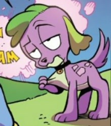 Size: 720x822 | Tagged: safe, artist:andypriceart, idw, character:spike, species:dog, my little pony:equestria girls, cropped, dogified, implied equestria girls, paws, species swap, spike is not amused, spike the dog, spike's dog collar, tail, unamused