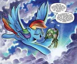 Size: 999x826 | Tagged: safe, artist:andypriceart, idw, character:rainbow dash, character:tank, species:pegasus, species:pony, cloud, dialogue, duo, female, flying, mare, sky, speech bubble, spread wings, sun, tortoise, wings