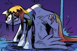 Size: 496x333 | Tagged: safe, artist:andypriceart, idw, official comic, character:rainbow dash, species:pegasus, species:pony, cropped, death stare, the good the bad and the ponies, wet hair, wet mane, wet wings