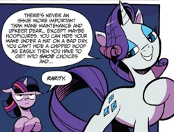Size: 560x426 | Tagged: safe, artist:andypriceart, idw, official comic, character:rarity, character:twilight sparkle, character:twilight sparkle (alicorn), species:alicorn, species:pony, species:unicorn, lidded eyes