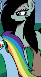 Size: 435x818 | Tagged: safe, artist:ponygoddess, idw, character:rainbow dash, oc, oc:sappho, friends forever