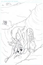 Size: 532x800 | Tagged: safe, artist:amy mebberson, idw, official, official comic, character:fluttershy, character:rainbow dash, comic, cover, idw advertisement, lineart, monochrome, original artwork