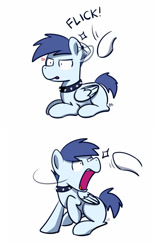 Size: 1280x2000 | Tagged: safe, artist:sugar morning, oc, oc only, oc:slipstream, species:pegasus, species:pony, angry, annoyed, behaving like a dog, boofy, boofy is a good boy, collar, cute, dog pony, ear twitch, flick, hooves, irritated, male, solo, spiked collar