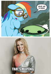 Size: 392x570 | Tagged: safe, idw, character:rainbow dash, character:tank, ...baby one more time, britney spears, comic, idw micro series, joke, meme, song reference, that's my pony, that's my x