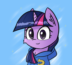 Size: 2443x2215 | Tagged: safe, artist:artiks, character:twilight sparkle, species:pony, blue background, clothing, female, hoodie, looking at you, mare, simple background, smiling, solo, wondercolts uniform
