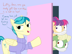 Size: 1600x1200 | Tagged: safe, artist:mightyshockwave, idw, character:aunt holiday, character:auntie lofty, species:pegasus, species:pony, episode:the last crusade, g4, my little pony: friendship is magic, alternate design, closet, cloth gag, clothing, female, gag, identity theft, imprisoned, kidnapped, mare, open mouth, self paradox, self ponidox, sweater, the implications are horrible