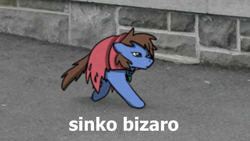 Size: 800x450 | Tagged: safe, artist:sugar morning, oc, oc:bizarre song, species:pony, cape, cat, clothing, irl, jewelry, meme, necklace, obscure reference, photo, ponified, ponified animal photo, sinko peso, text, two legged creature, walking, when you walking