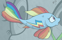 Size: 240x156 | Tagged: safe, artist:skitter, idw, character:rainbow dash, cropped, female, fish, fishified, goldfish, rainbow trout, solo, species swap